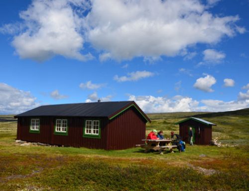 Ledige hytter og buer på Kvikne