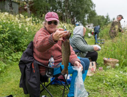 Fiskemuligheter på Kvikne