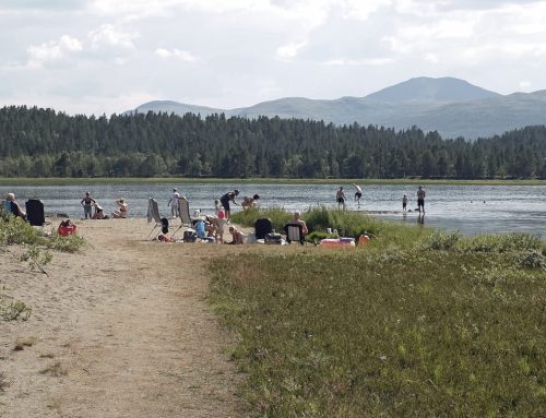 Stubsjøen «beach» populær i varmen