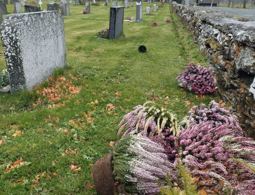 Blomster på avveie etter ekstremværet «Amy»