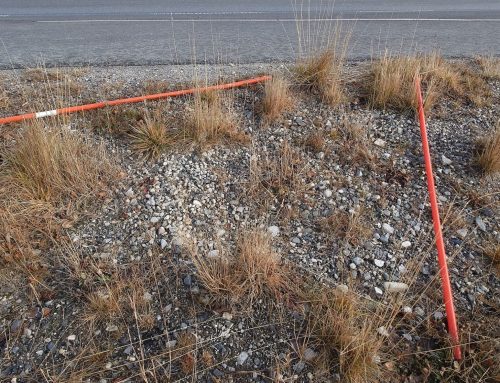 La brøytestikkene stå i fred!