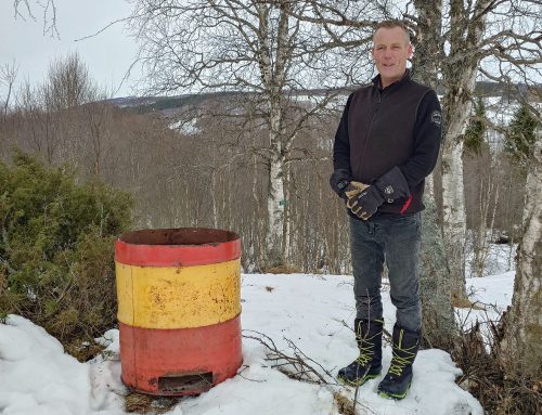 Har fått tillatelse til foring av hjortevilt av Mattilsynet for å hindre viltpåkjørsler