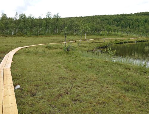 Nå kan du søke støtte fra Statskogmillionen