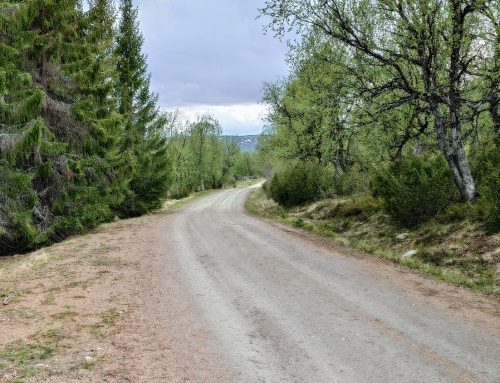 Fjellveier 2026 – oppdatert 5. juni