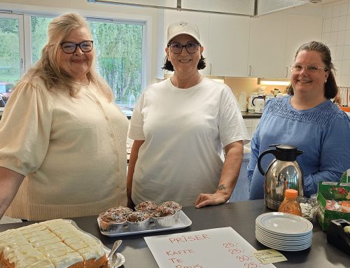 Mange fine skatter til salgs på bruktmarkedet i samfunnshuset