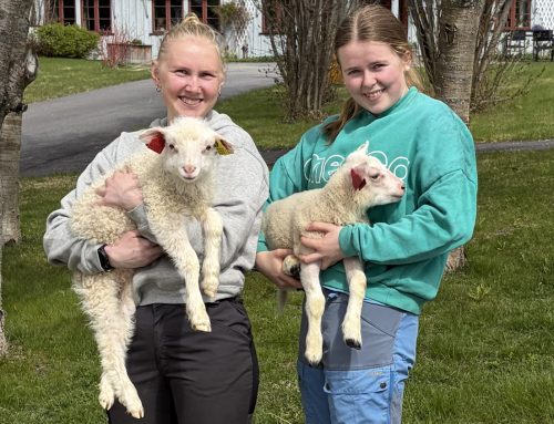 Vårens vakreste eventyr