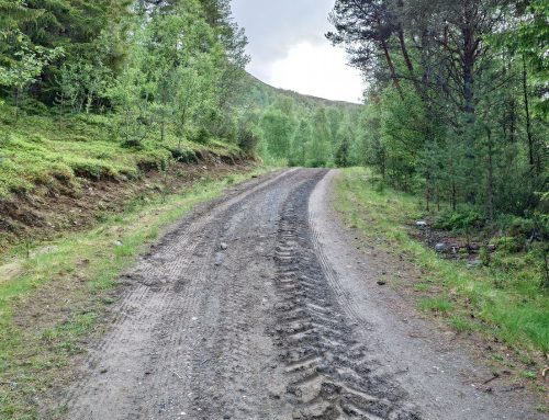 Fjellveier 2026 – oppdatert 16. juni