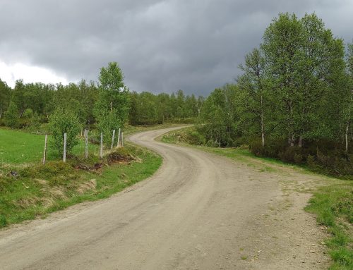Fjellveier 2026 – oppdatert 11. juni