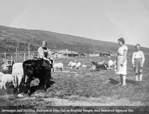 Om beiteforholdene i Innerdalen og etablering av Sæter forsøksgard