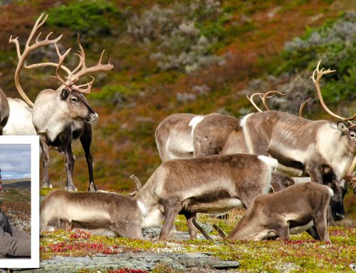 Utdeling av årets jaktkort til villreinjegere på Statsalmenningen